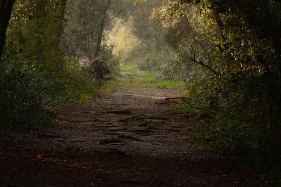 La Via Severiana a Ostia